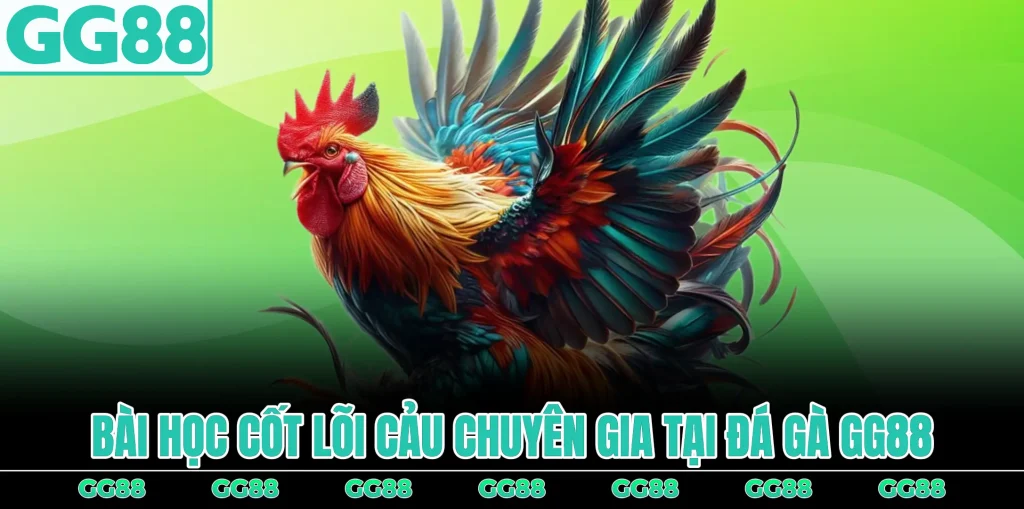 bai-hoc-cot-loi-cua-chuyen-gia-tai-da-ga-gg88