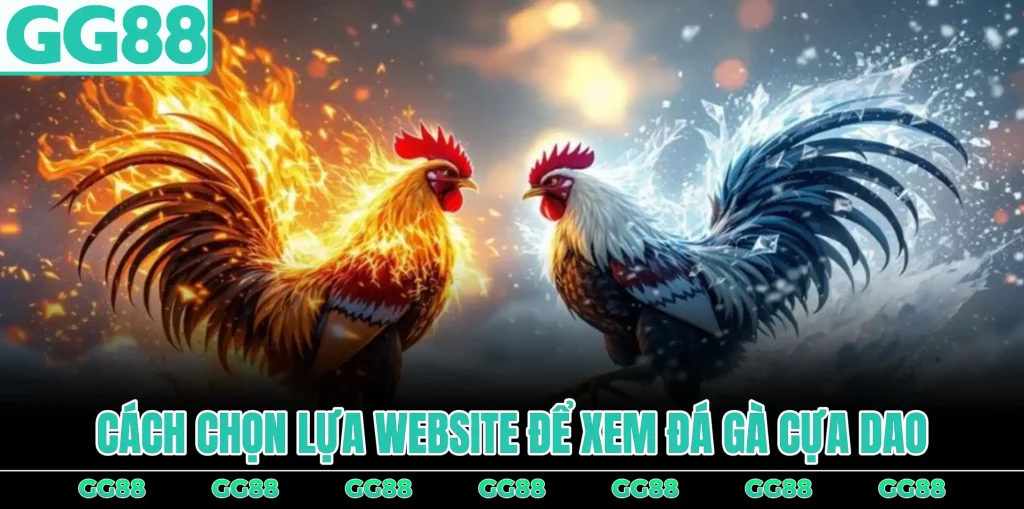 cach-chon-lua-website-de-xem-da-ga-cua-dao