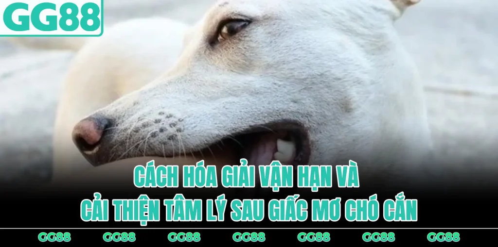 cach-hoa-giai-van-han-cai-thien-tam-ly