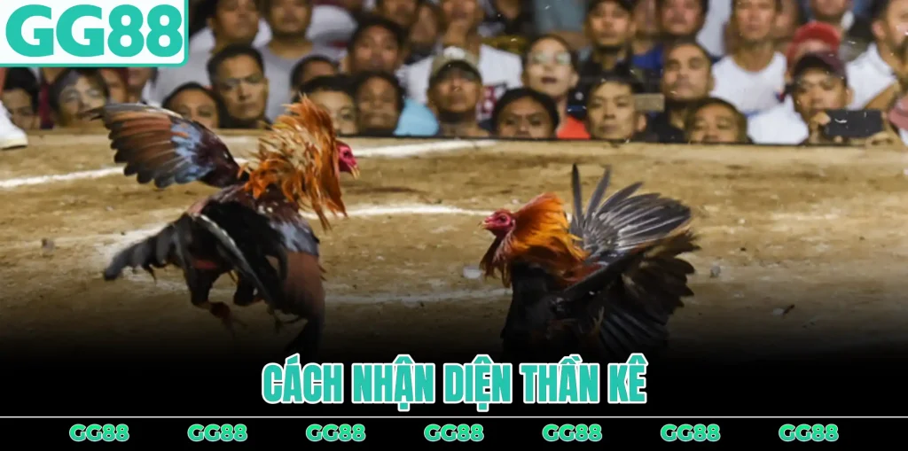 cach-nhan-dien-than-ke