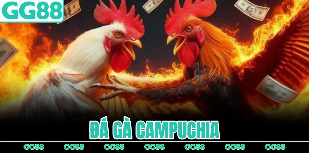 da-ga-campuchia