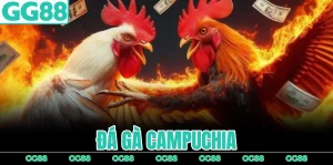 da-ga-campuchia