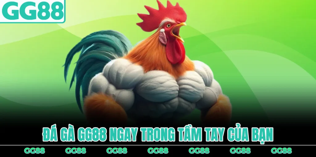 da-ga-gg88-ngay-trong-tam-tay-cua-ban