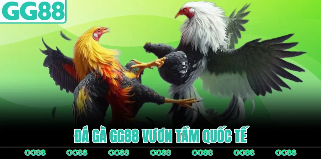 da-ga-gg88-vuon-tam-quoc-te