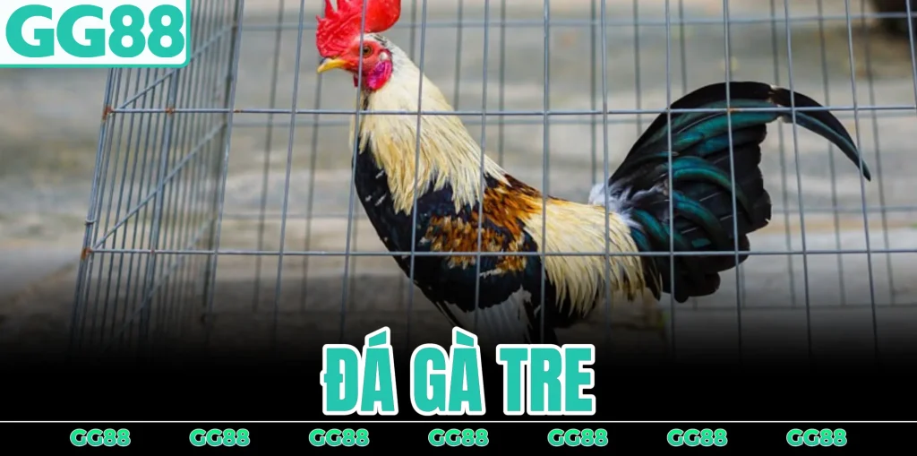 da-ga-tre