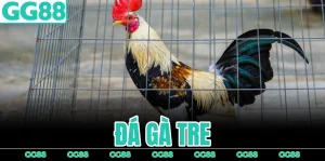 da-ga-tre