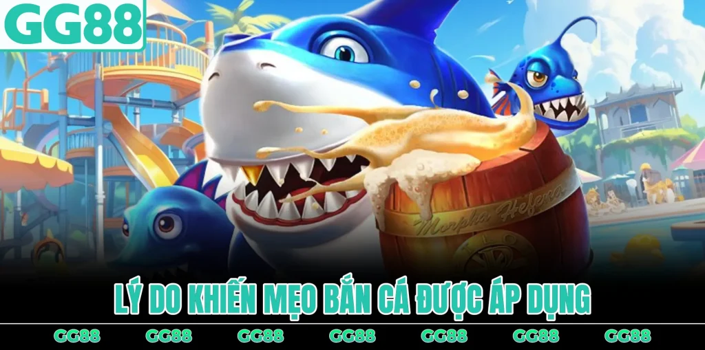 ly-do-khien-cac-meo-ban-ca-duoc-ap-dung