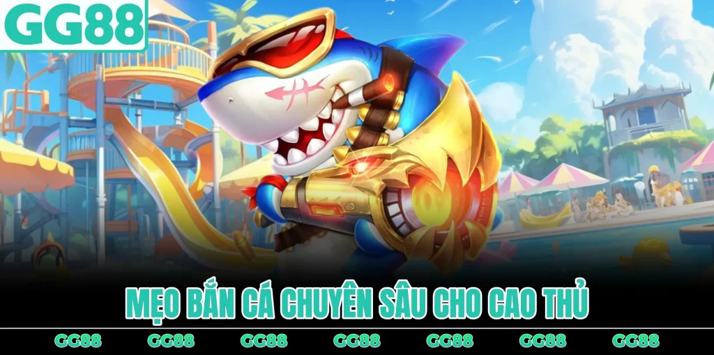 meo-ban-ca-chuyen-sau-cho-cao-thu