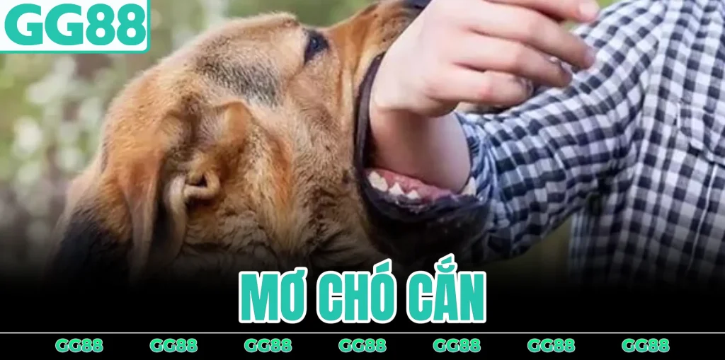 mo-cho-can