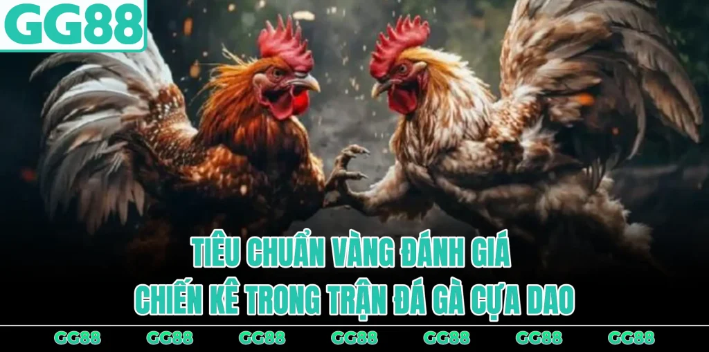 tieu-chuan-vang-danh-gia-chien-ke-trong-tran-da-ga