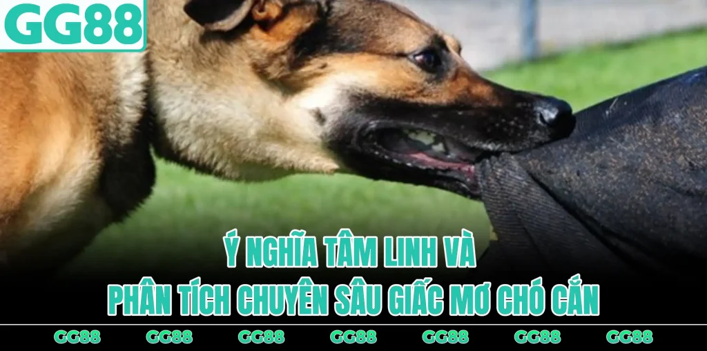y-nghia-tam-linh-va-phan-tich-chuyen-sau-giac-mo-can